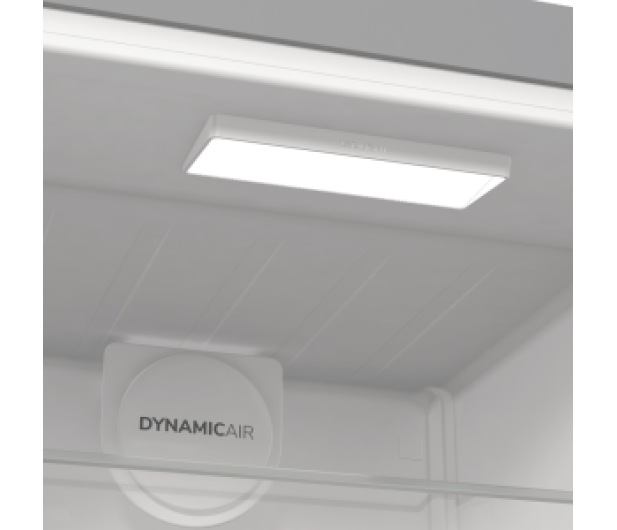 GORENJE R619EAXL6 185cm Srebrna 398L - 1106479 - zdjęcie 9